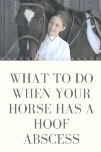 What to do when your horse has a hoof abscess