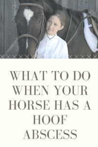 Hoof Abscess Treatment Kit: Everything you need