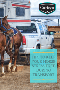 Tips to keep your horse stress free during transport