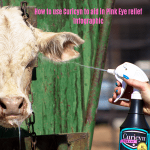 How to use Curicyn to aid in Pink Eye relief – Infographic