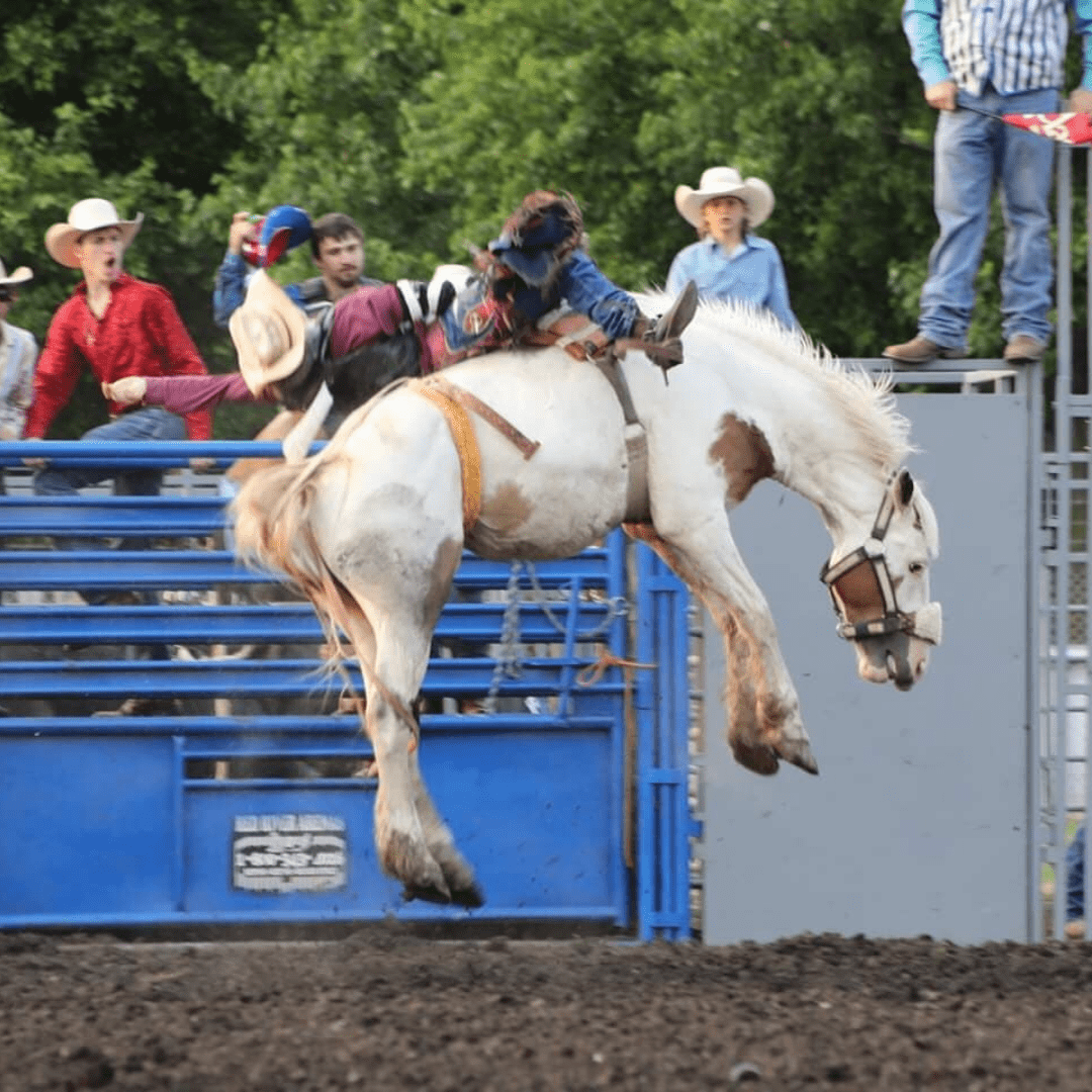 International Finals Youth Rodeo, a starting point for rodeo legends.