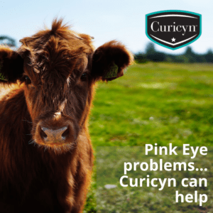Pink Eye problems...Curicyn can help