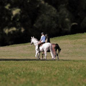 Beginner horse riding tips from Champions…