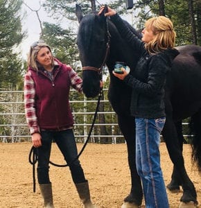 Curicyn at your practice: Veterinarian Gives Horse Exam