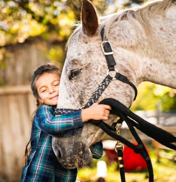 Equine | Curicyn