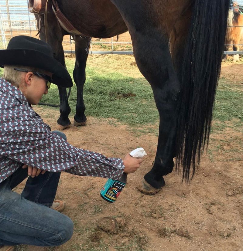 man-spraying-horse Corporate Culture: Man Spraying Horse Hooves