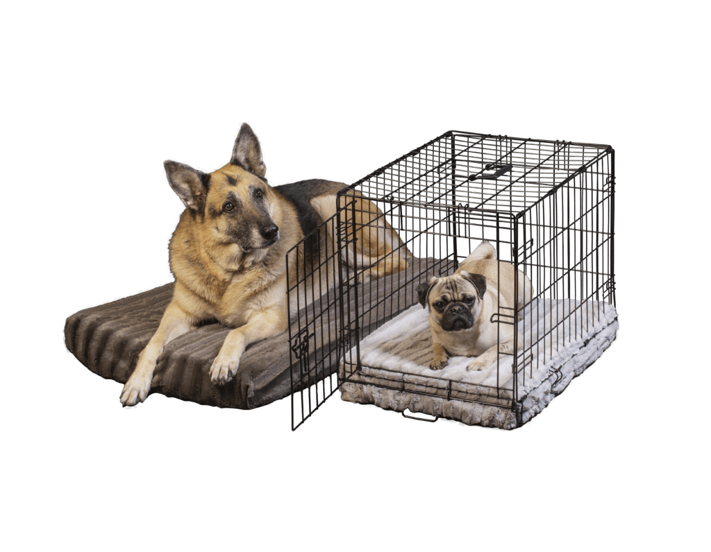 Curicyn's DuraCloud Pet Beds