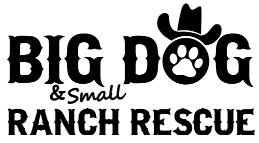 Big & Small Dog Ranch Rescue