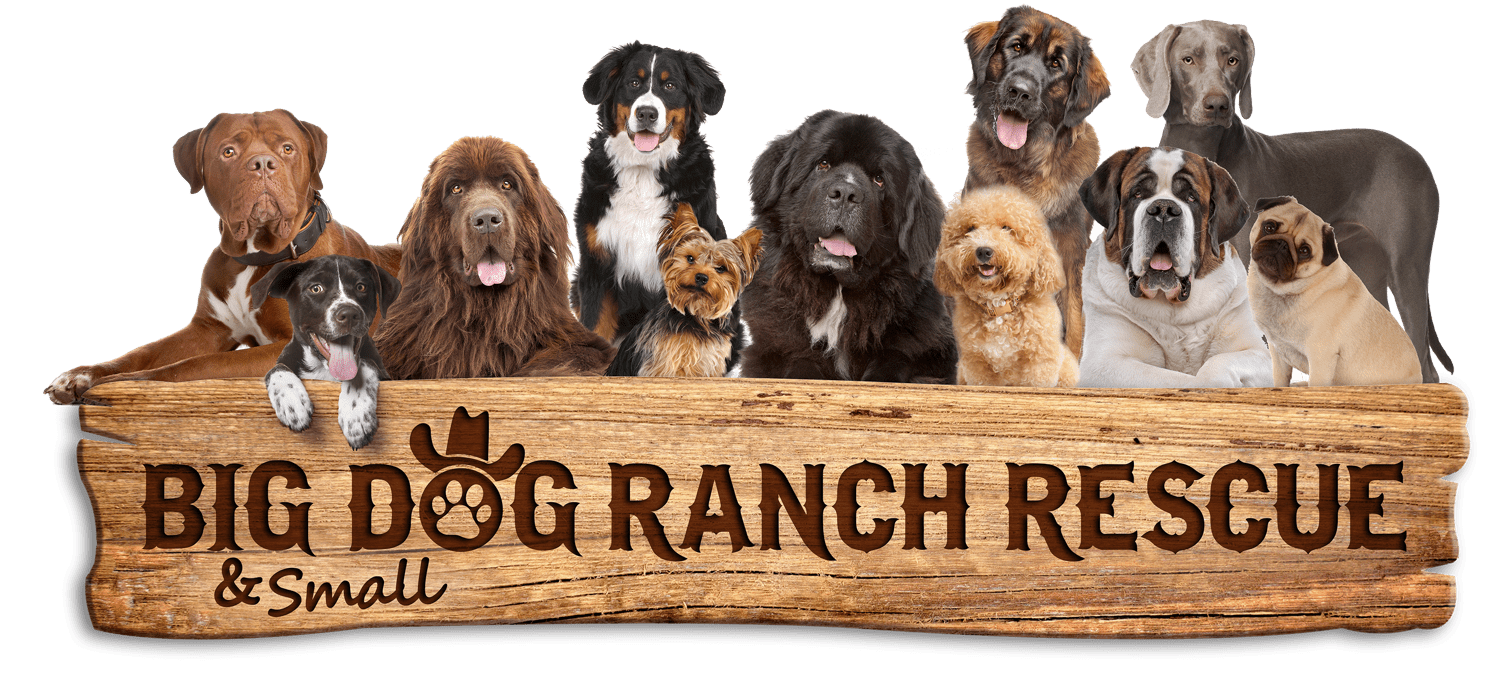 BDRR Logo Wood Panel-Dogs