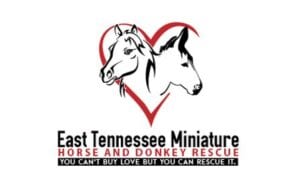 East Tennessee Miniature Horse and Donkey Rescue 