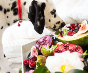 What table foods are bad for dogs?