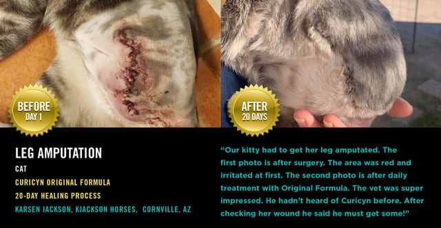 Wound in Cat clears after use of Curicyn product