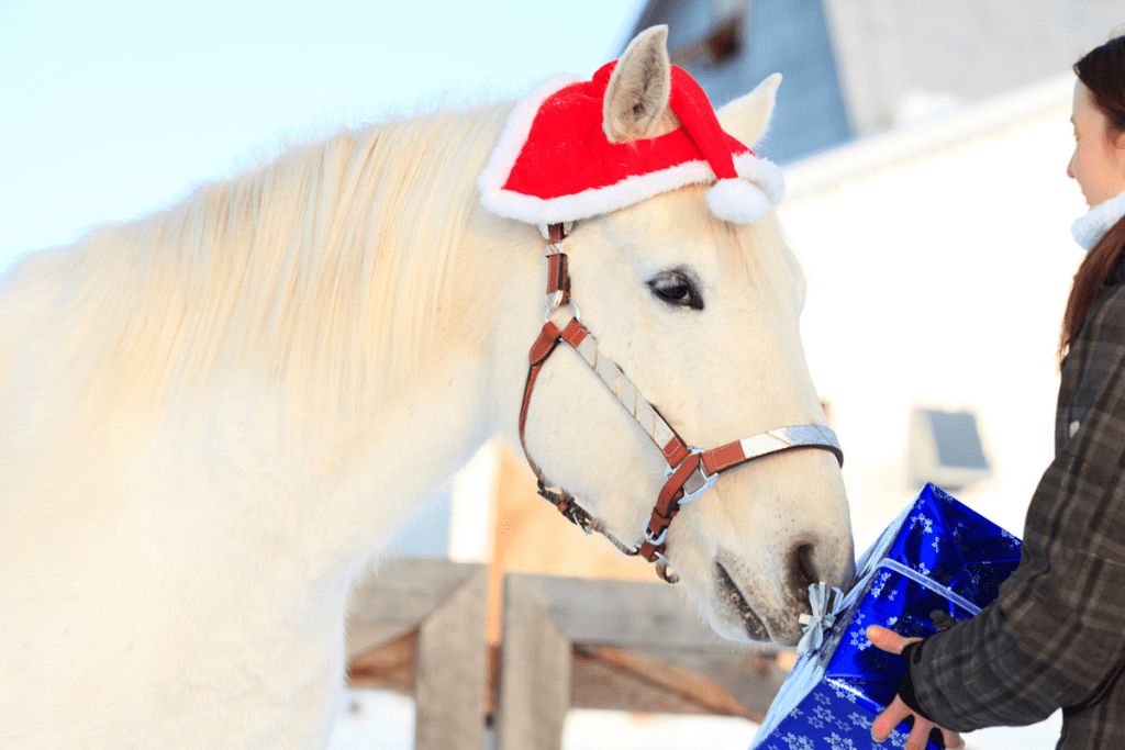 white horse wearing santa hat