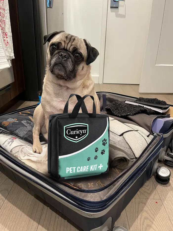 pack your Curicyn Pet Care Kit when traveling with pets