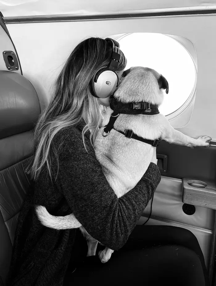 tips for traveling with pets from Chubbs, for safe and smooth travels