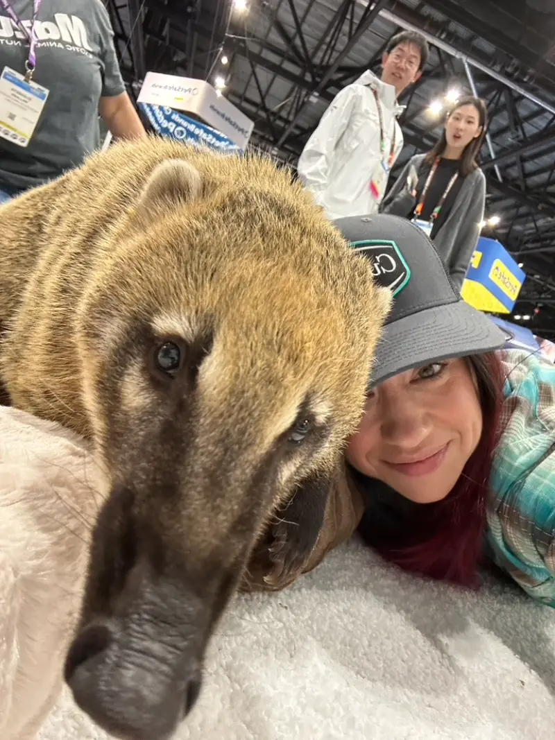 DuraCloud Pet Beds by Curicyn with a Coatimundi