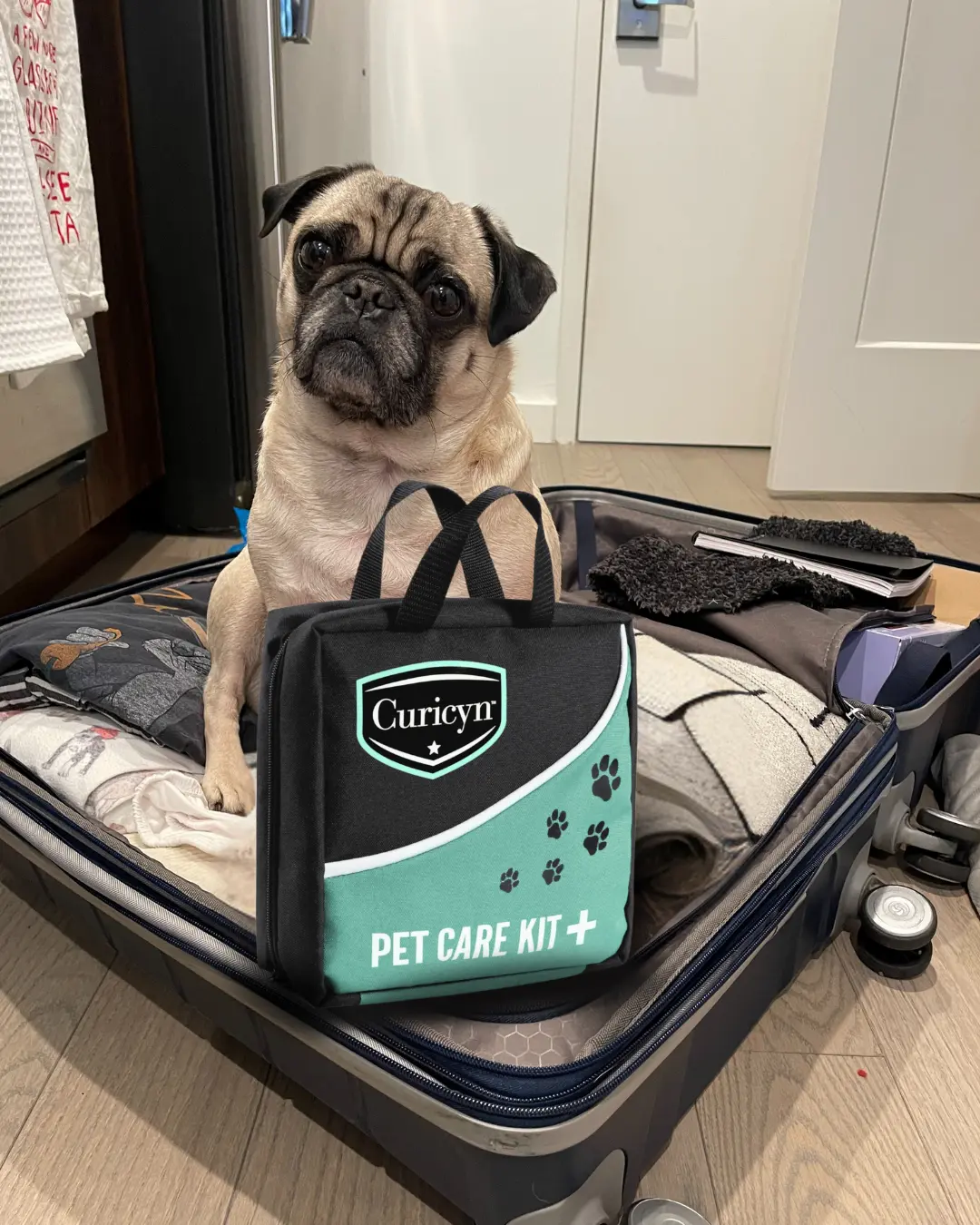 Curicynpet care kit is great to leave with pet sitters