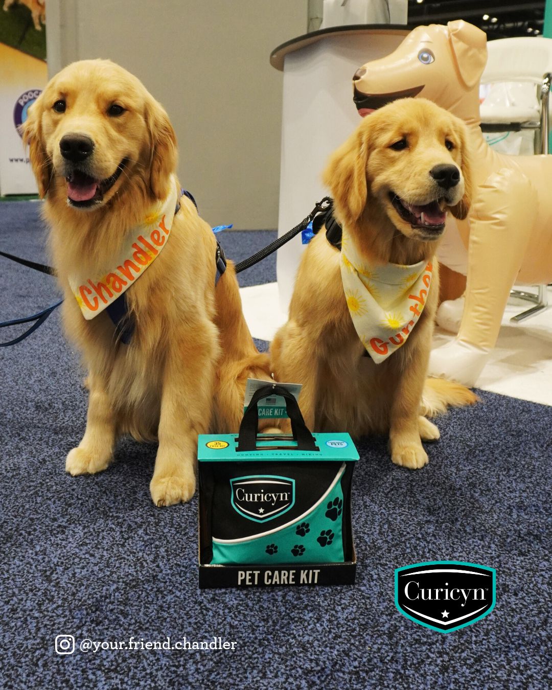 Curicyn Pet Care Kit with @your.friend.chandler