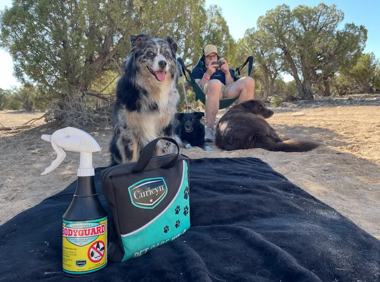 Curicyn wound care solutions for traveling with pets