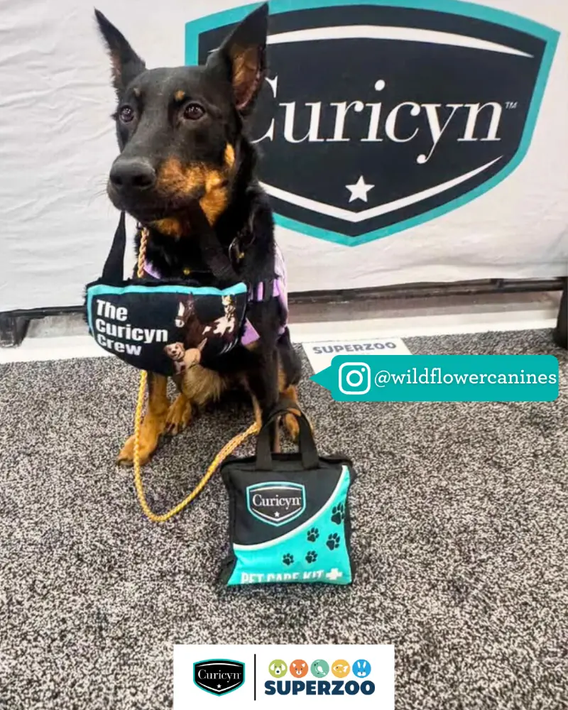 @wildflowercanines at the Curicyn booth at SuperZoo