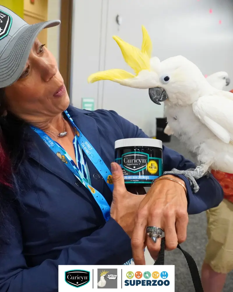 Curicyn Wound Care Wipes at SuperZoo