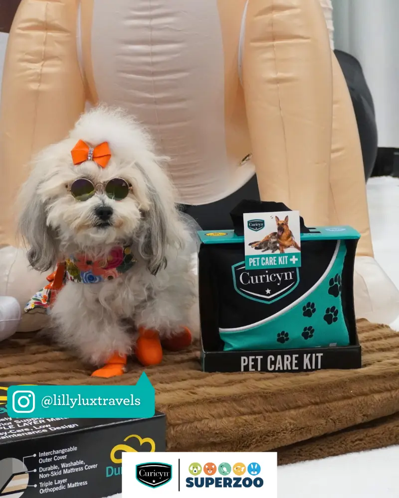 Curicyn at the groomers