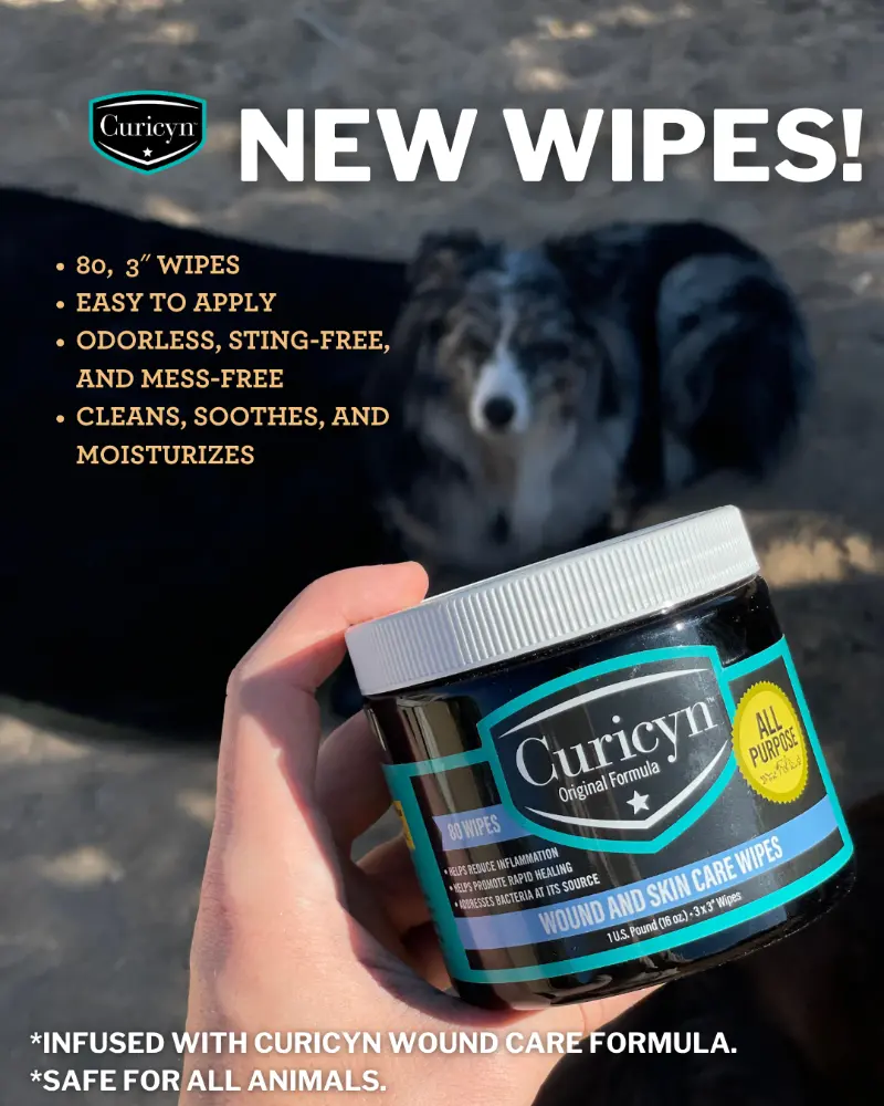 Curicyn Wound Care Wipes are safe for all animals
