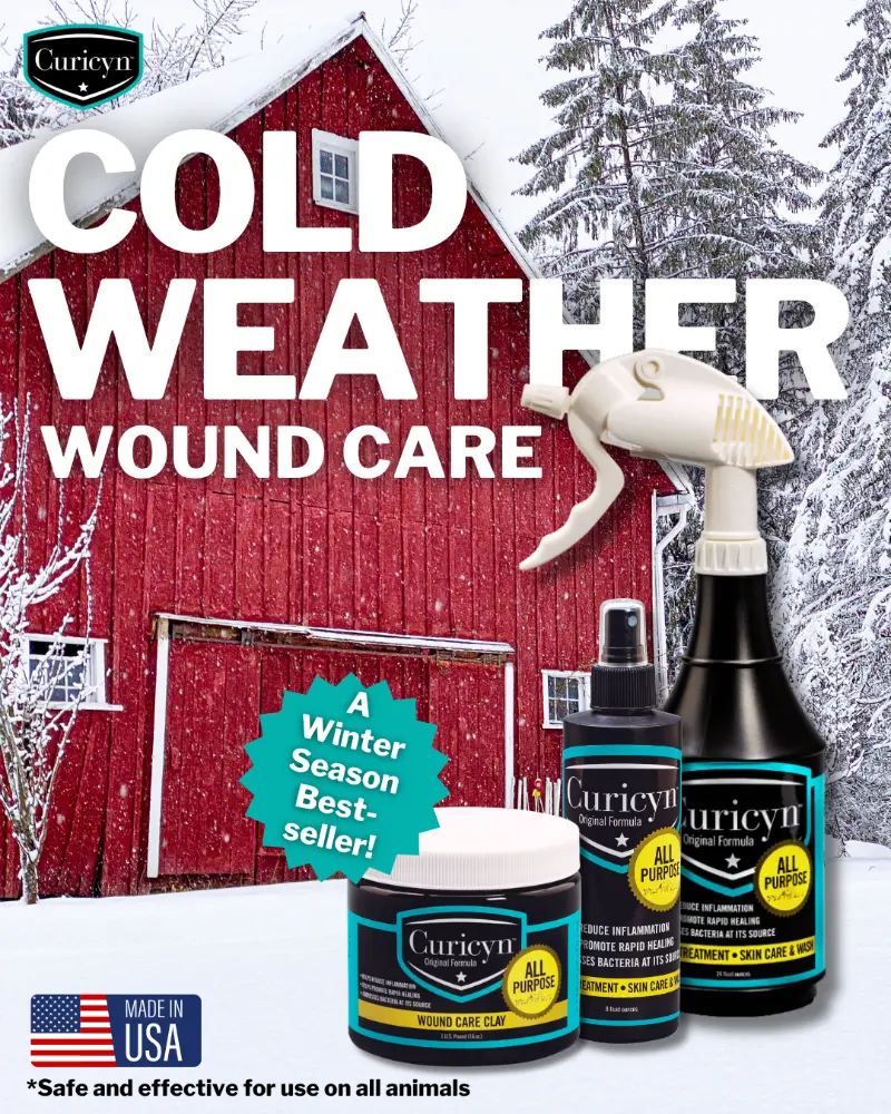 Winter wound care for livestock with Curicyn Wound Care Clay