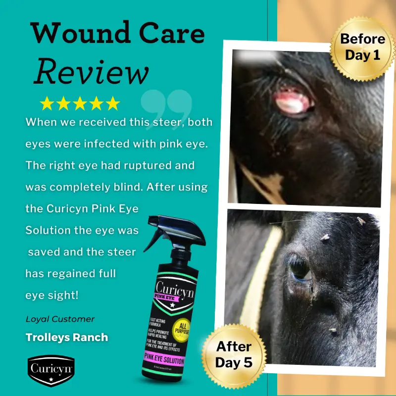 Curicyn Pink Eye Solution for livestock