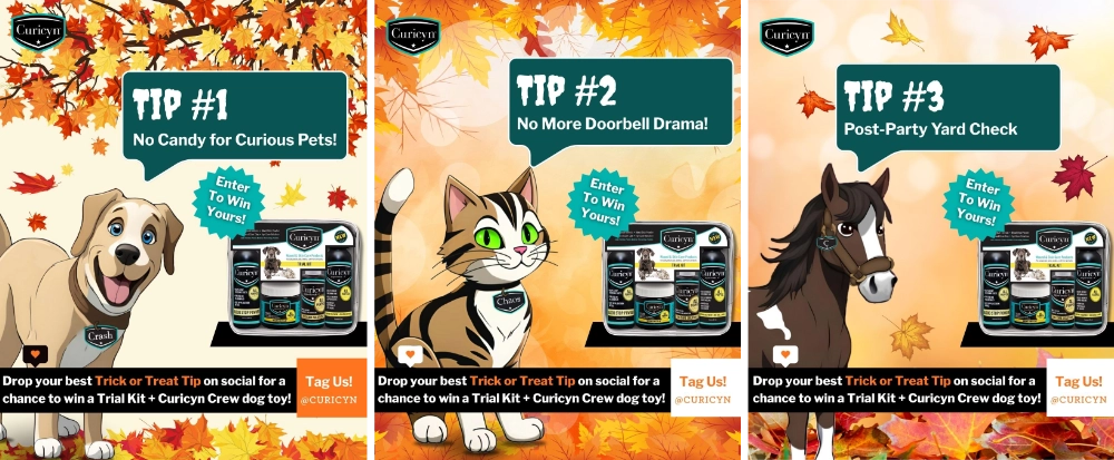 Halloween Tips from the Curicyn Crew