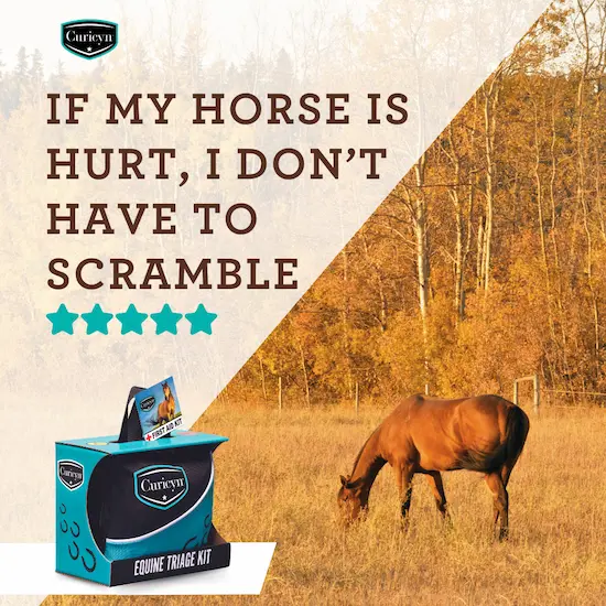 Curicyn Equine Triage Kit is a great gift for equestrians
